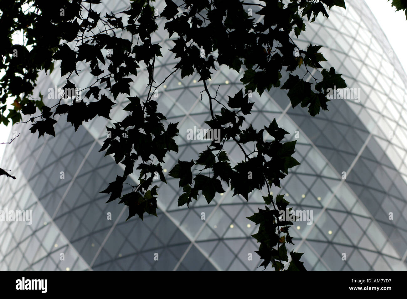CITY OF LONDON AUTUMN AND THE SWISS RE BUILDING  2005 Stock Photo