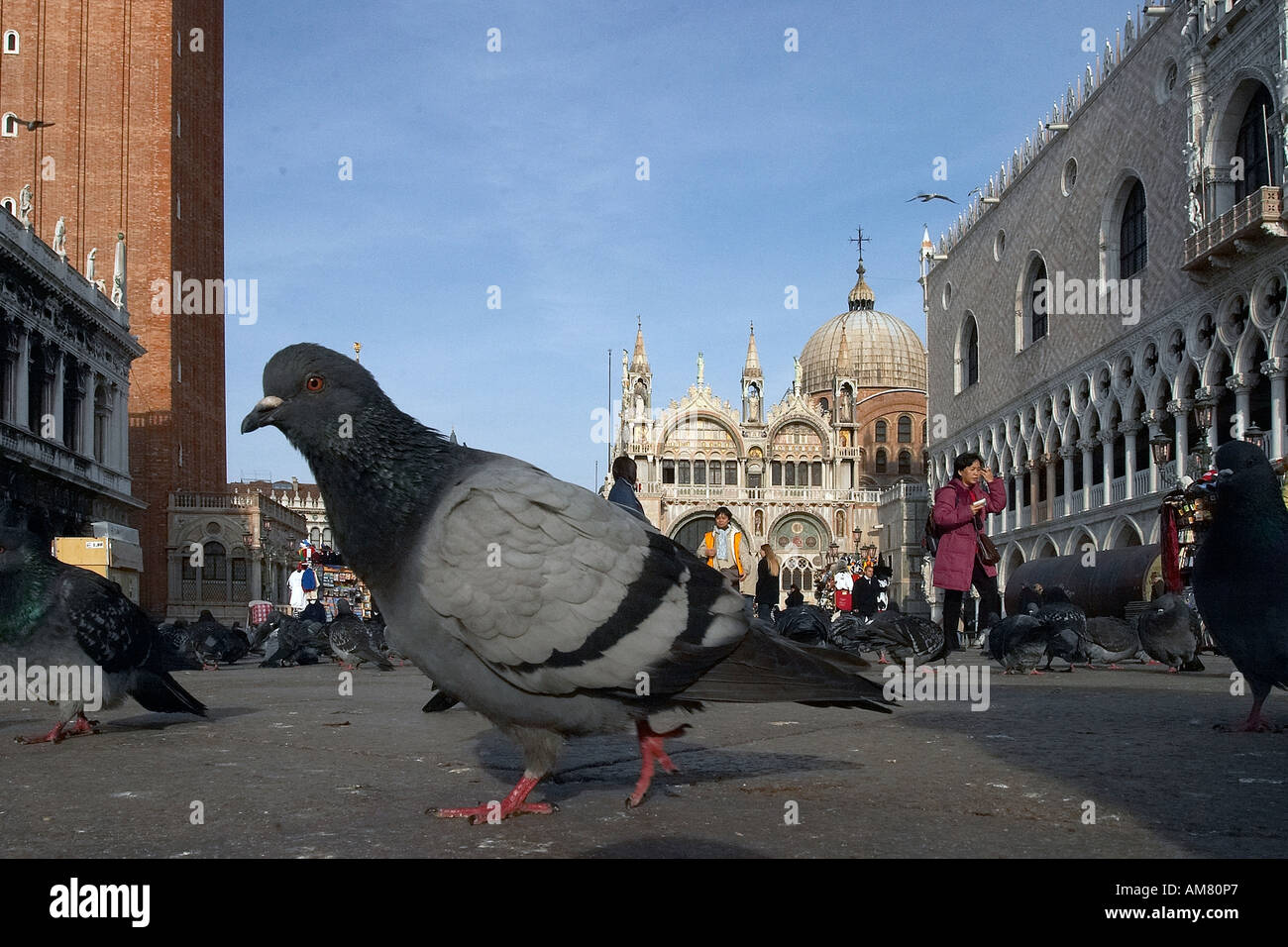 Venice, San Markus Plaza with dole, Italy Stock Photo