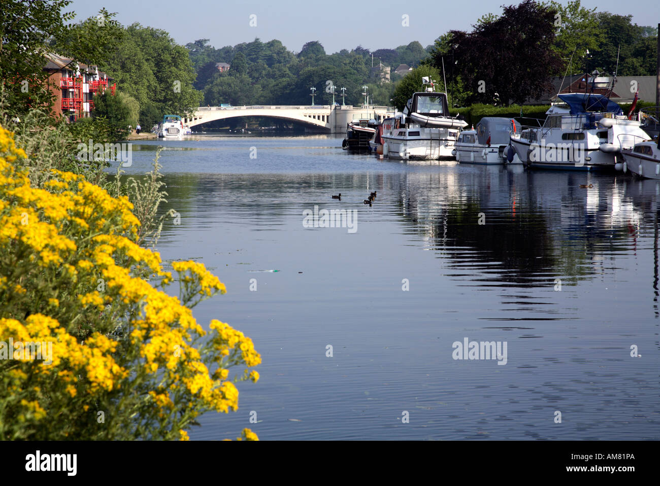River Thames in Reading looking towards Caversham Bridge Stock Photo