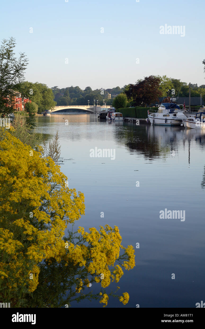River Thames in Reading looking towards Caversham Bridge 2 Stock Photo