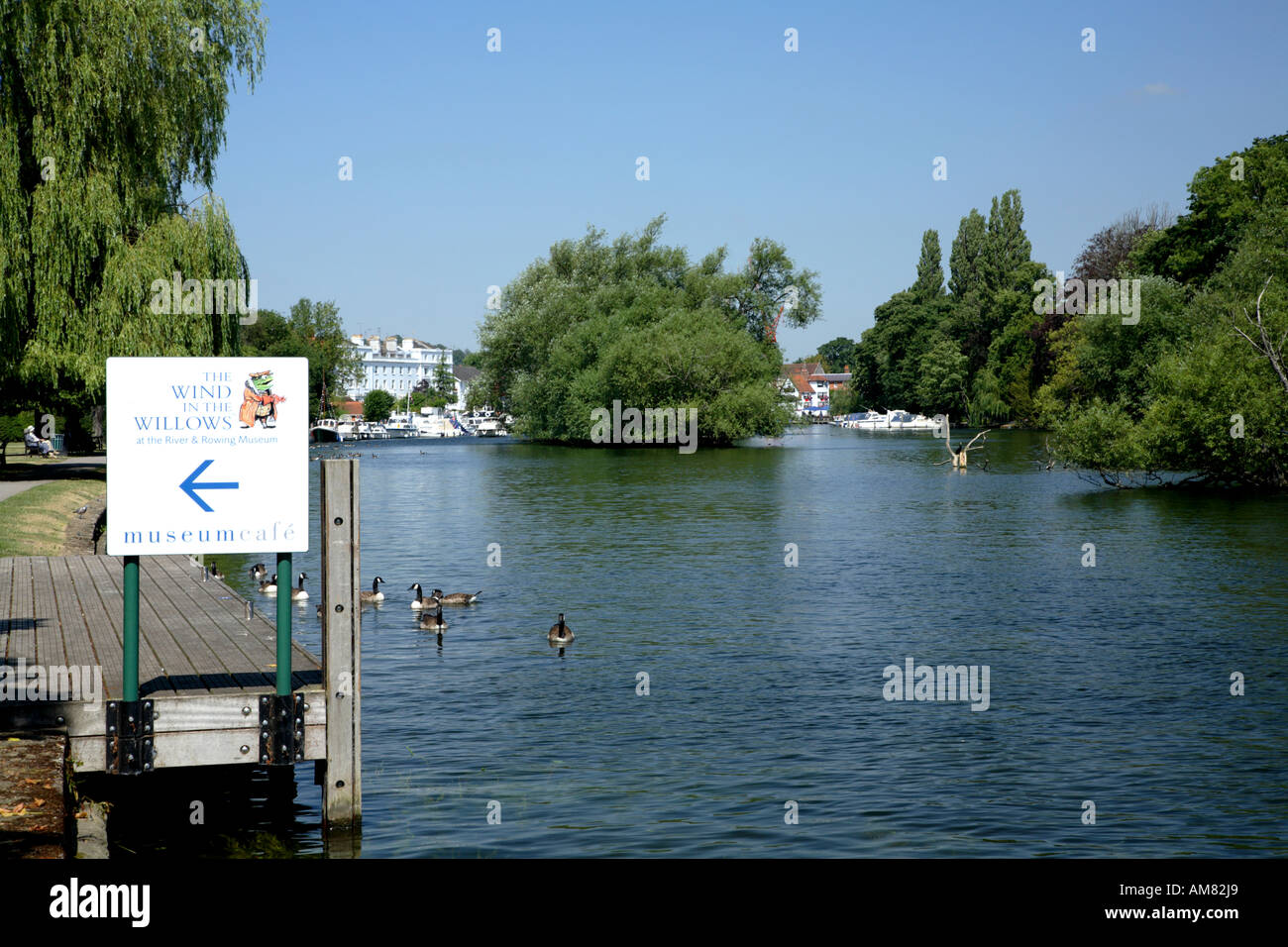 View from Thames path looking downstream to Henley on Thames with Wind