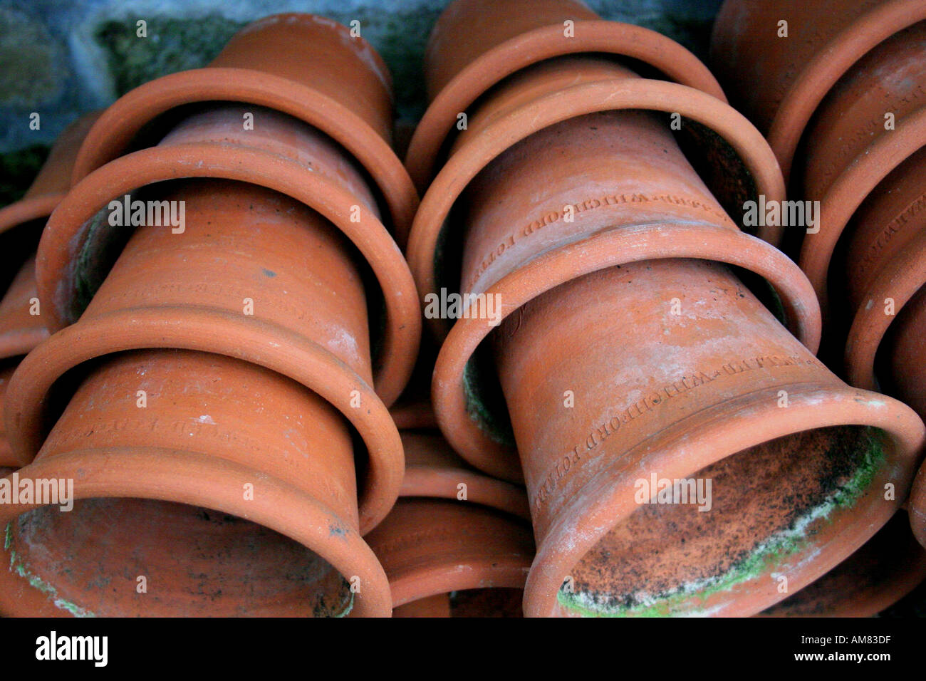 Terracotta or clay flower pots Stock Photo