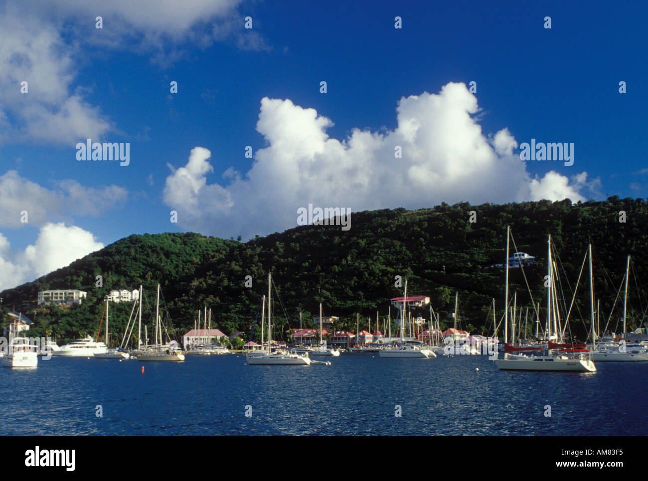 AJ20024, Tortola, West End, British Virgin Islands, Caribbean, BVI Stock Photo