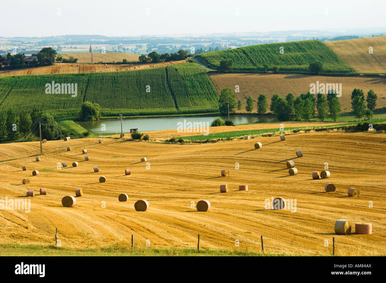 Hay rolls in Gascony field Stock Photo