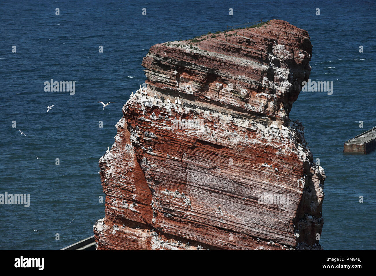 Rock 'Lange Anna' on Helgoland, Germany Stock Photo
