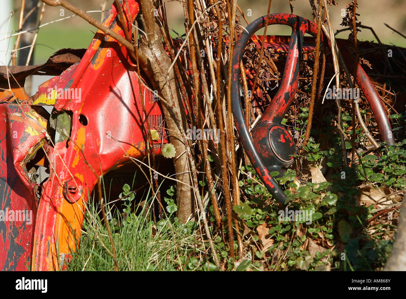 Old Volkswagen beetle overgrown by plants Stock Photo
