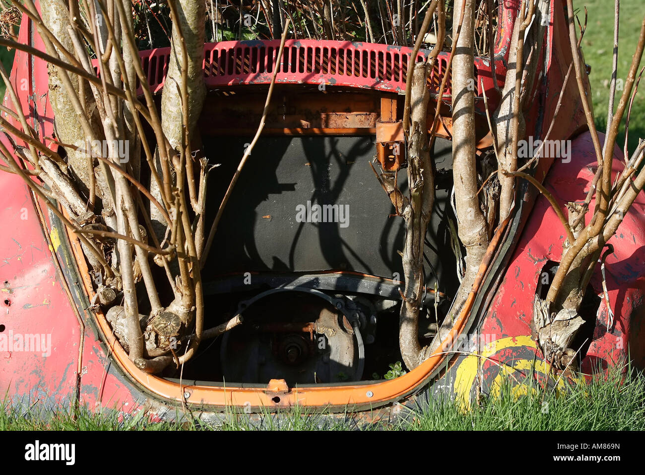 Old Volkswagen beetle overgrown by plants Stock Photo