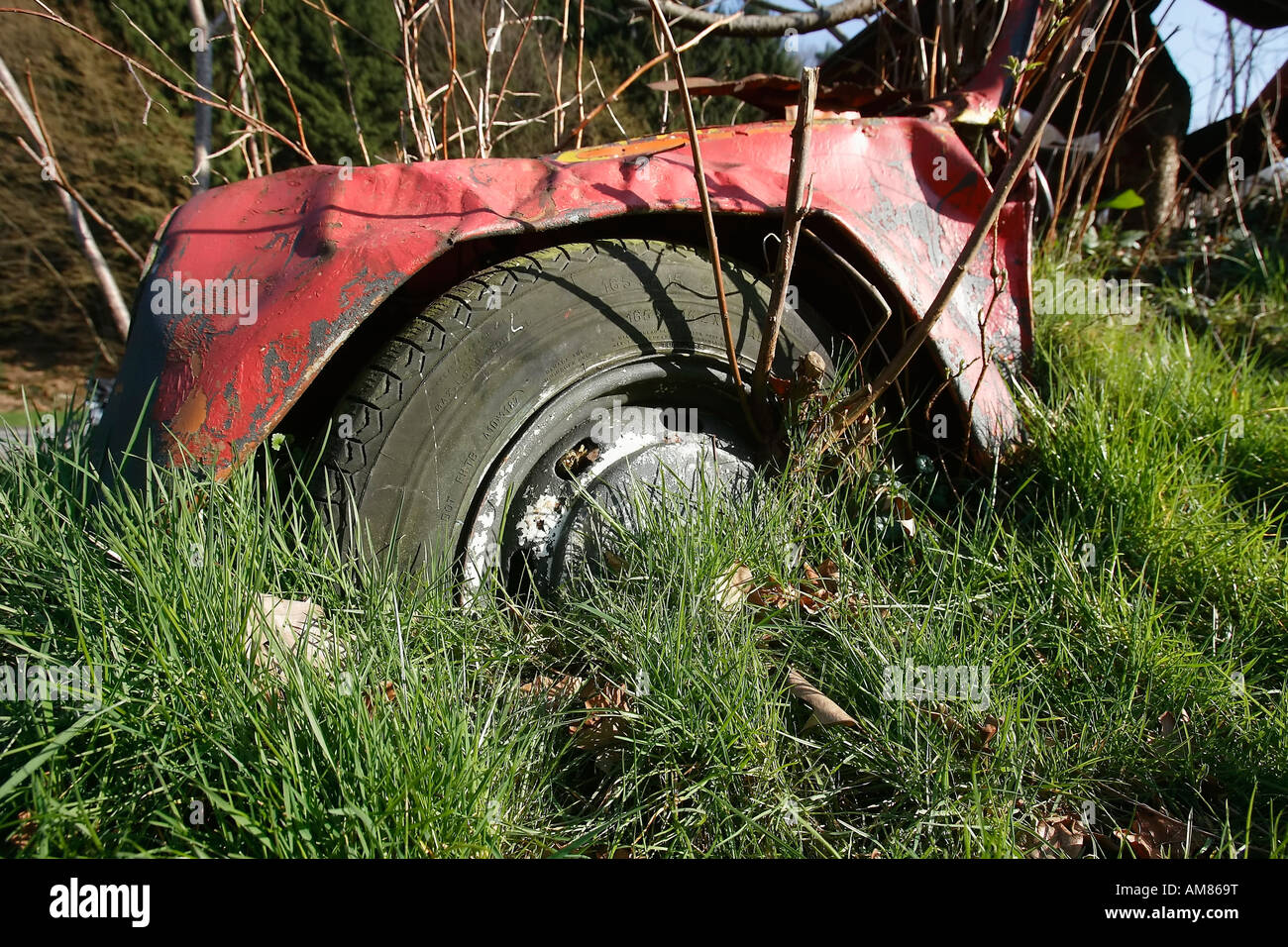 Old Volkswagen beetle overgrown by plants Stock Photo