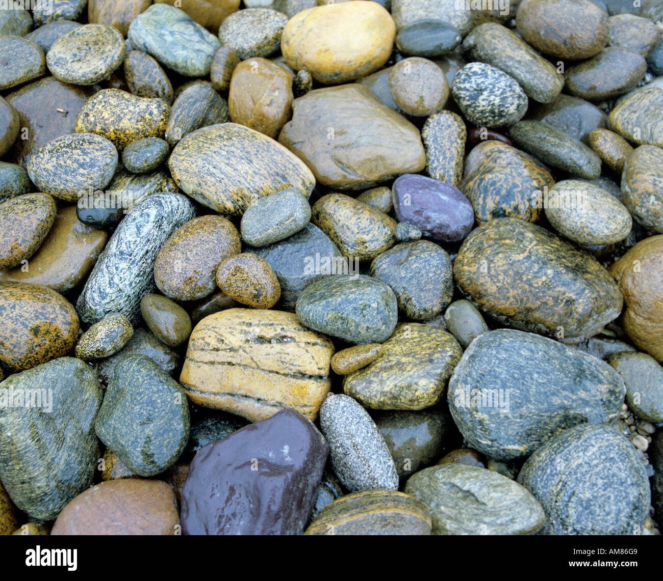 Stones in water Stock Photo