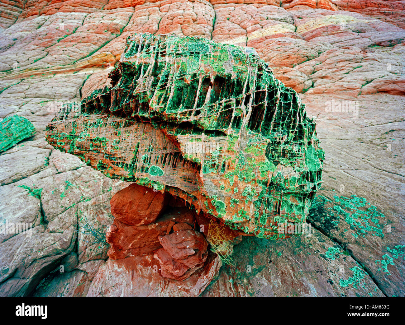 eroded red rock looking like a scull erodierter roter Felsen mit Schädelanmutung Stock Photo
