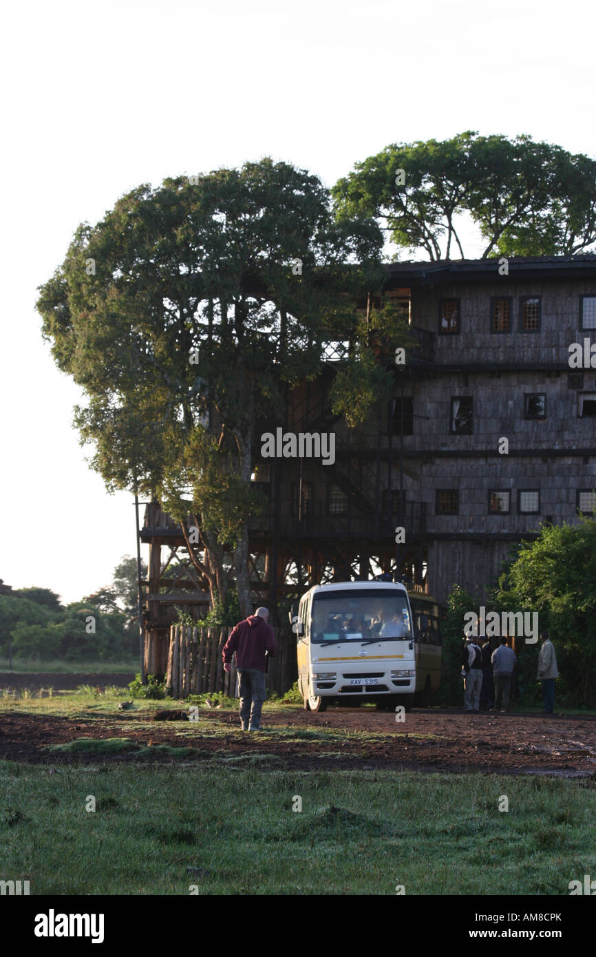 Kenya Aberdare National Park Kenya Treetops lodge Stock Photo Alamy