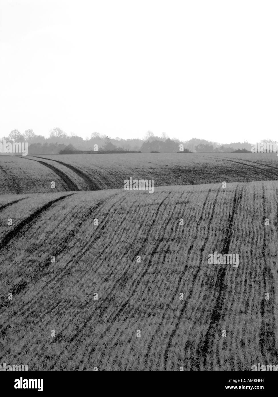 Countryside farm scenic Black and White Stock Photos & Images - Alamy