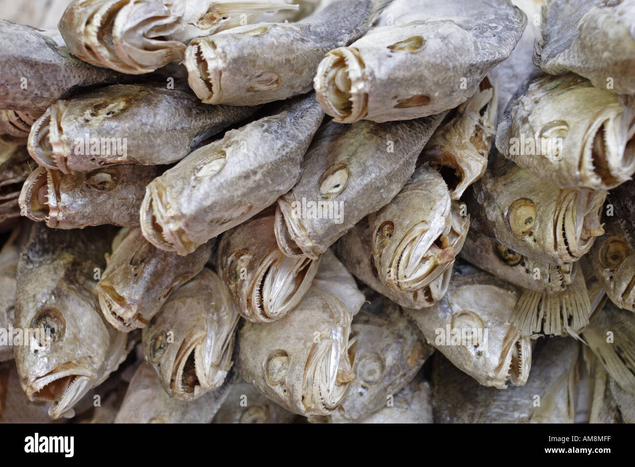 Fish head assortment hi-res stock photography and images - Alamy