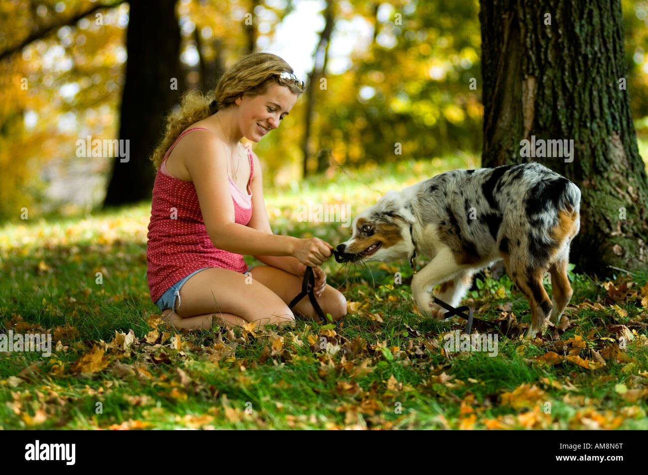 A young girl playing with her dog in the park Stock Photo