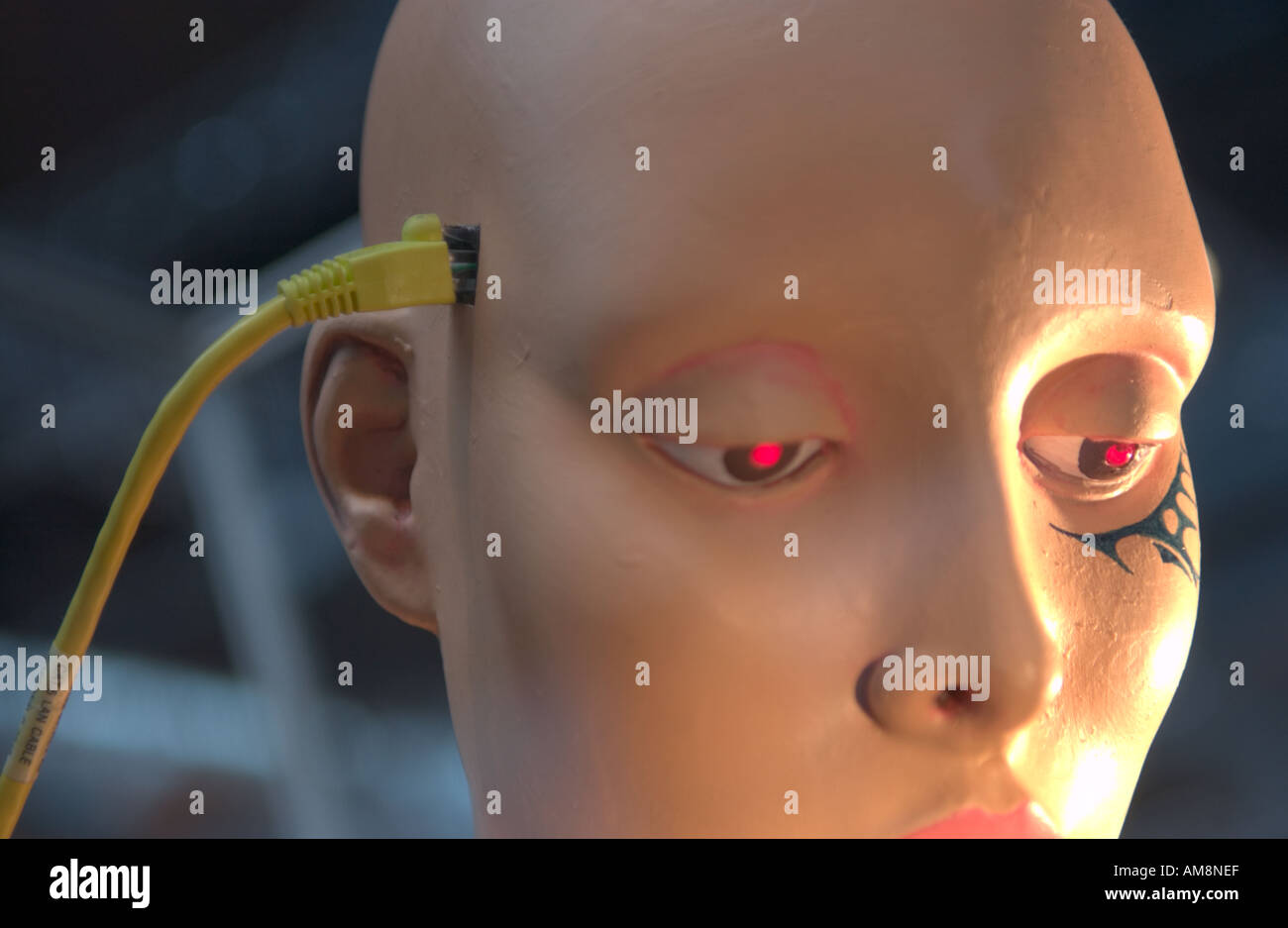 mannequin head connected to ethernet cable Stock Photo