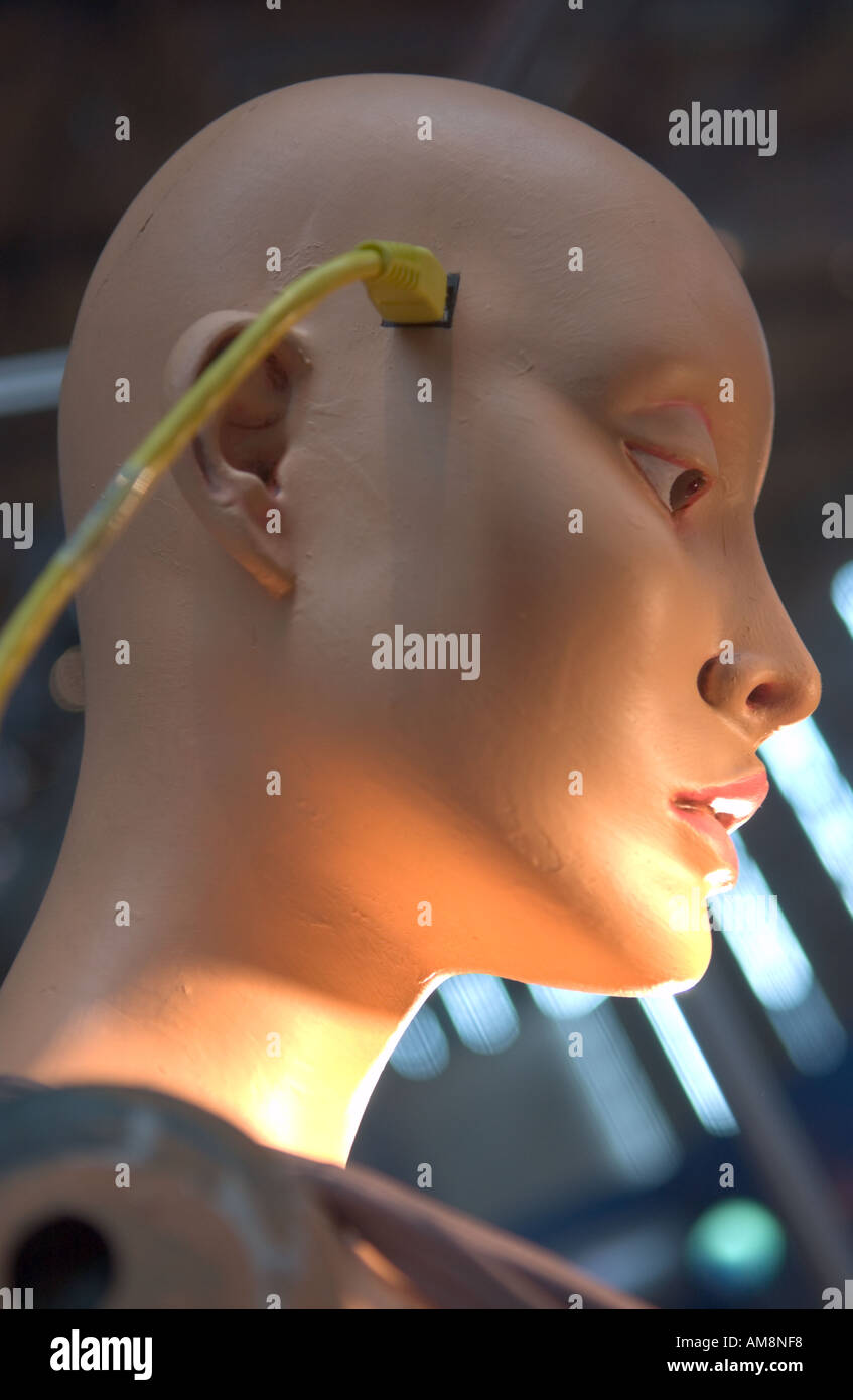 mannequin head connected to ethernet cable Stock Photo