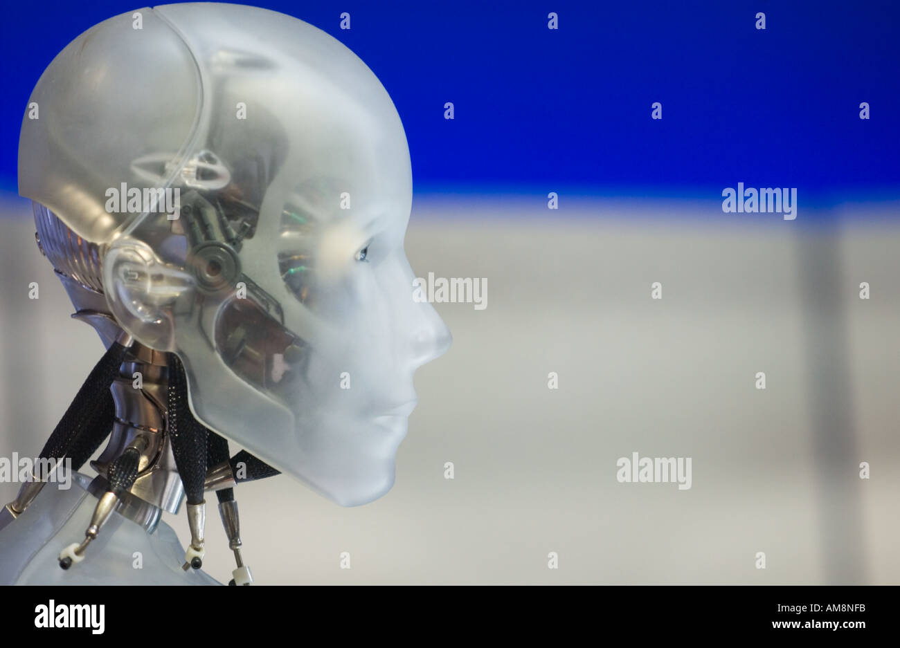 Android Head Stock Photo