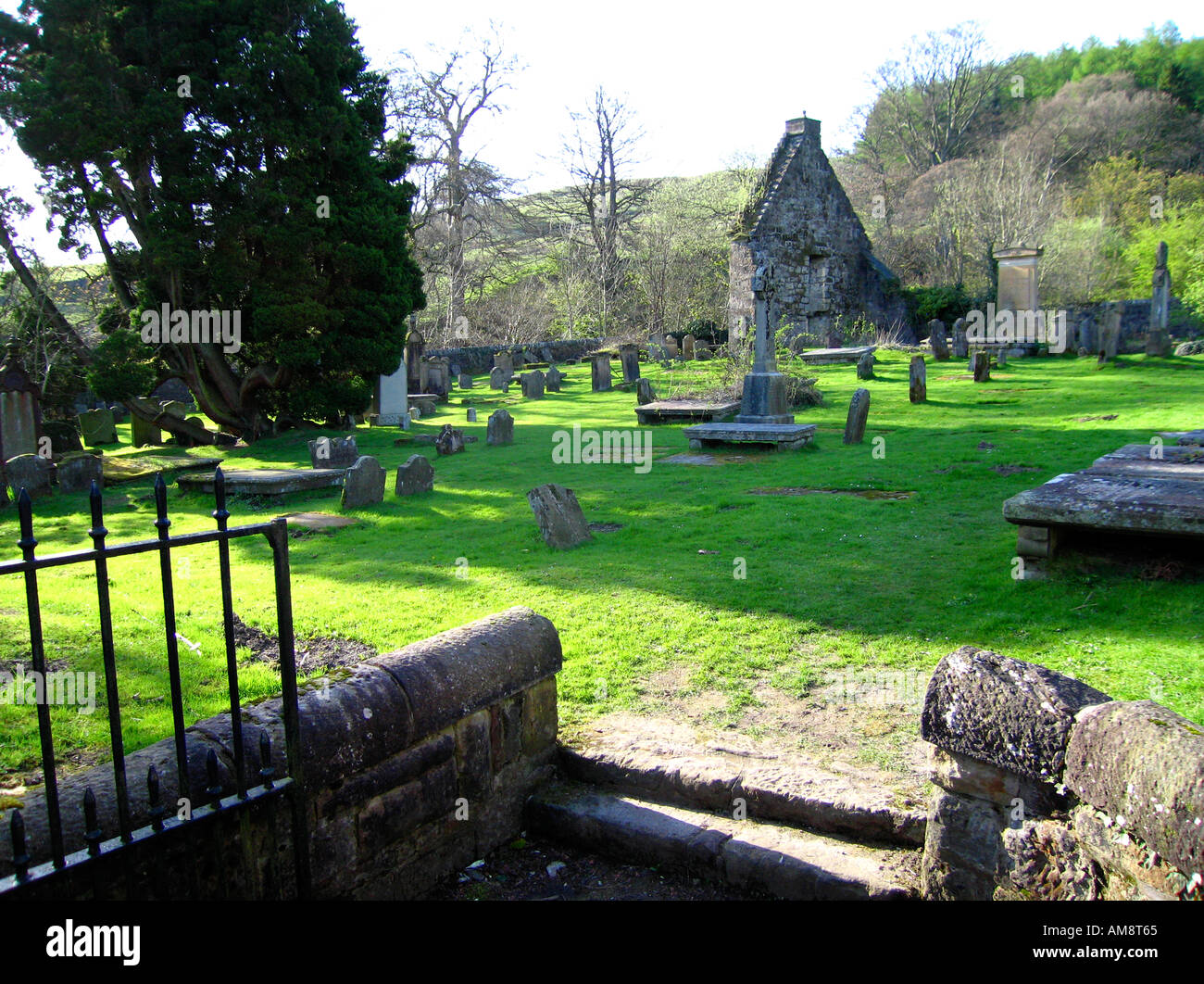 Skeleton head graveyard hi-res stock photography and images - Alamy