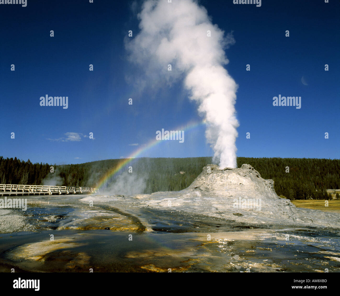USA - WYOMING: Castle Geyser at Yellowstone National Park Stock Photo