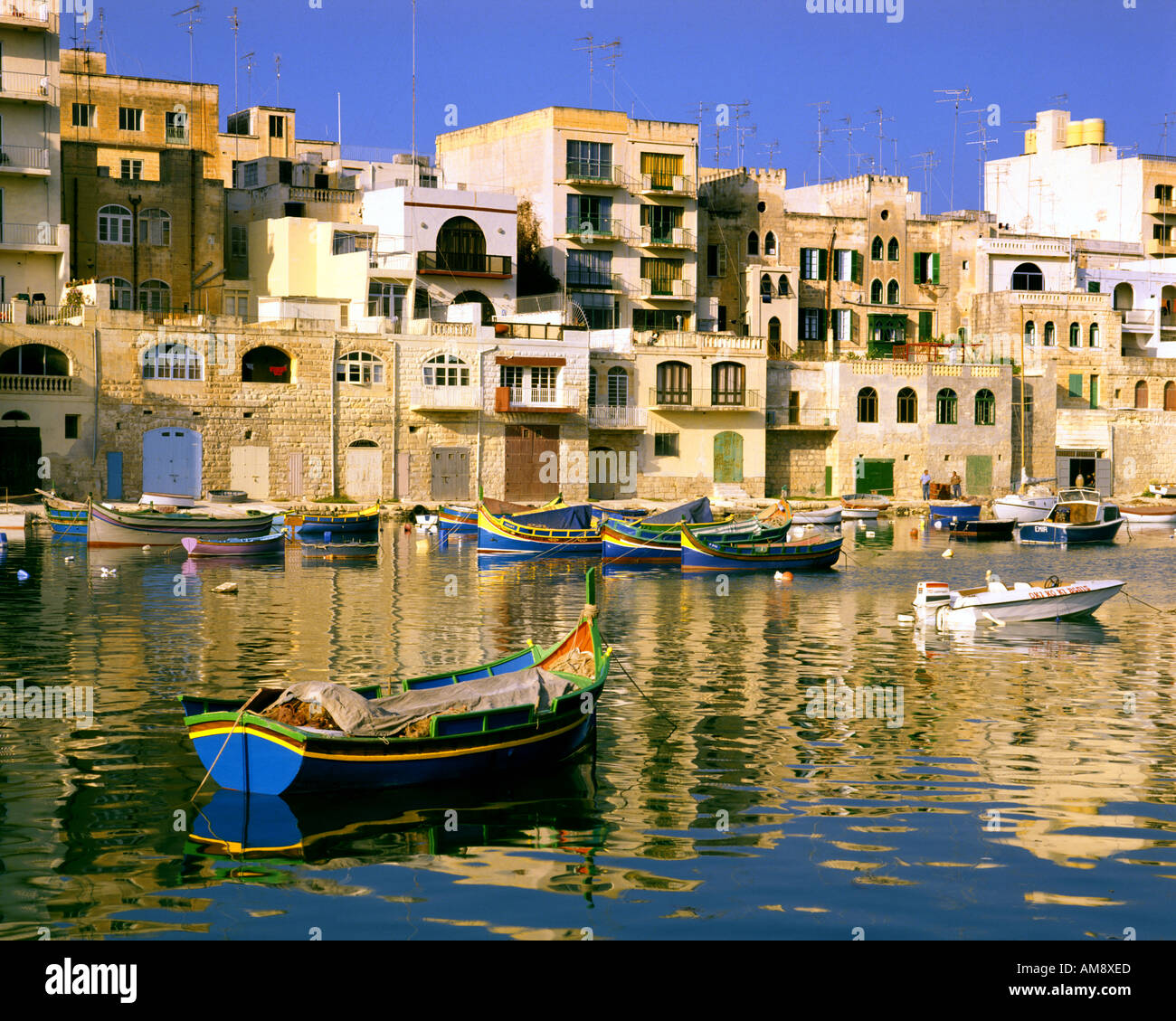 My Image 14