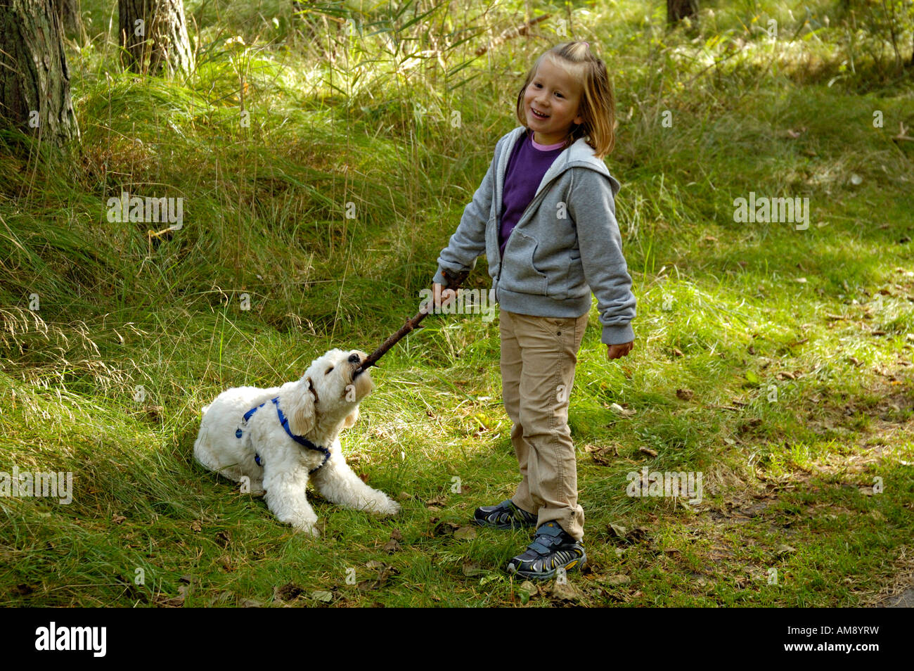 Young girl playing with pet dog outdoors. Stock Photo