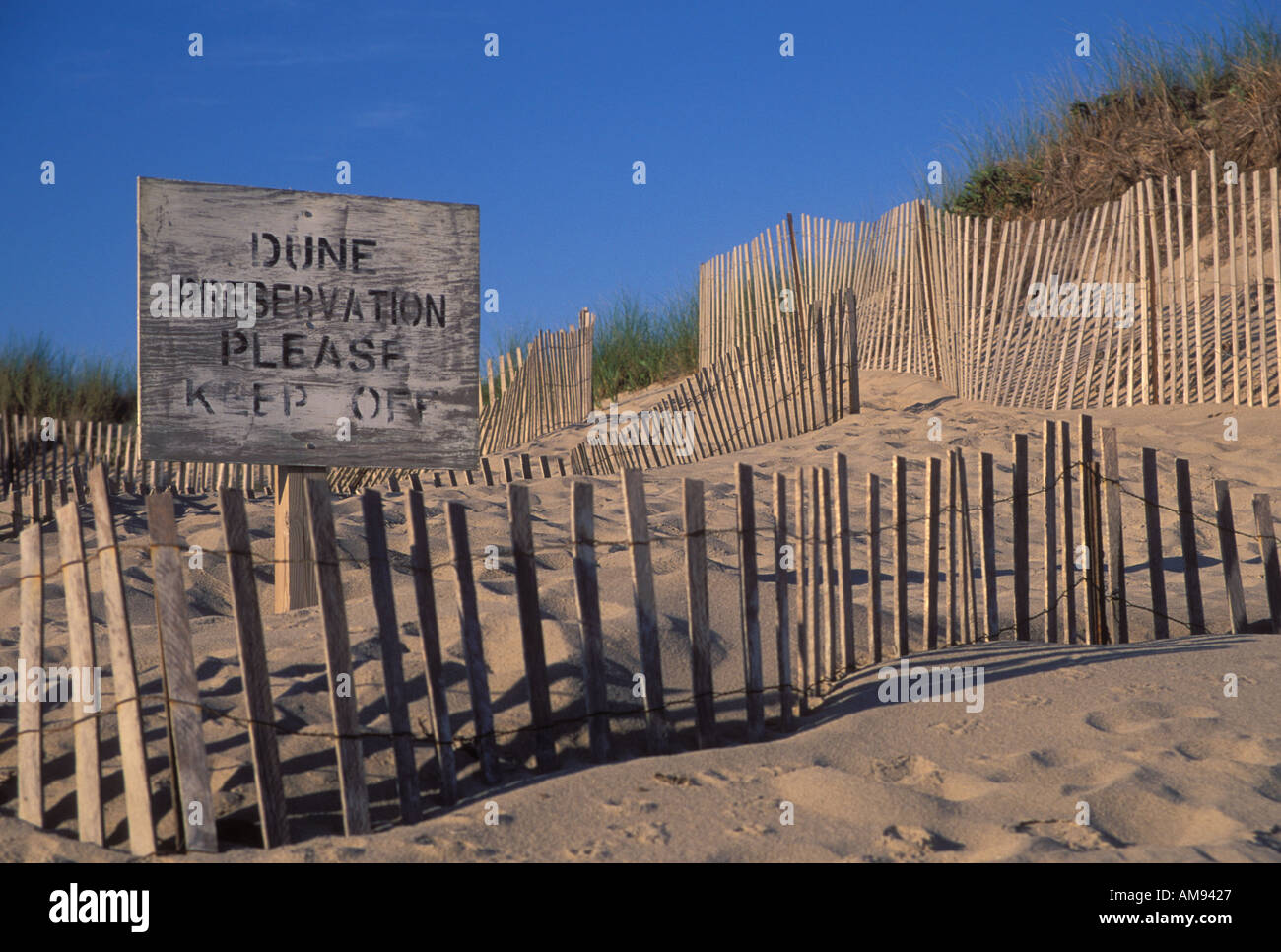 Dune Preservation Area Nantucket Massachusetts Stock Photo