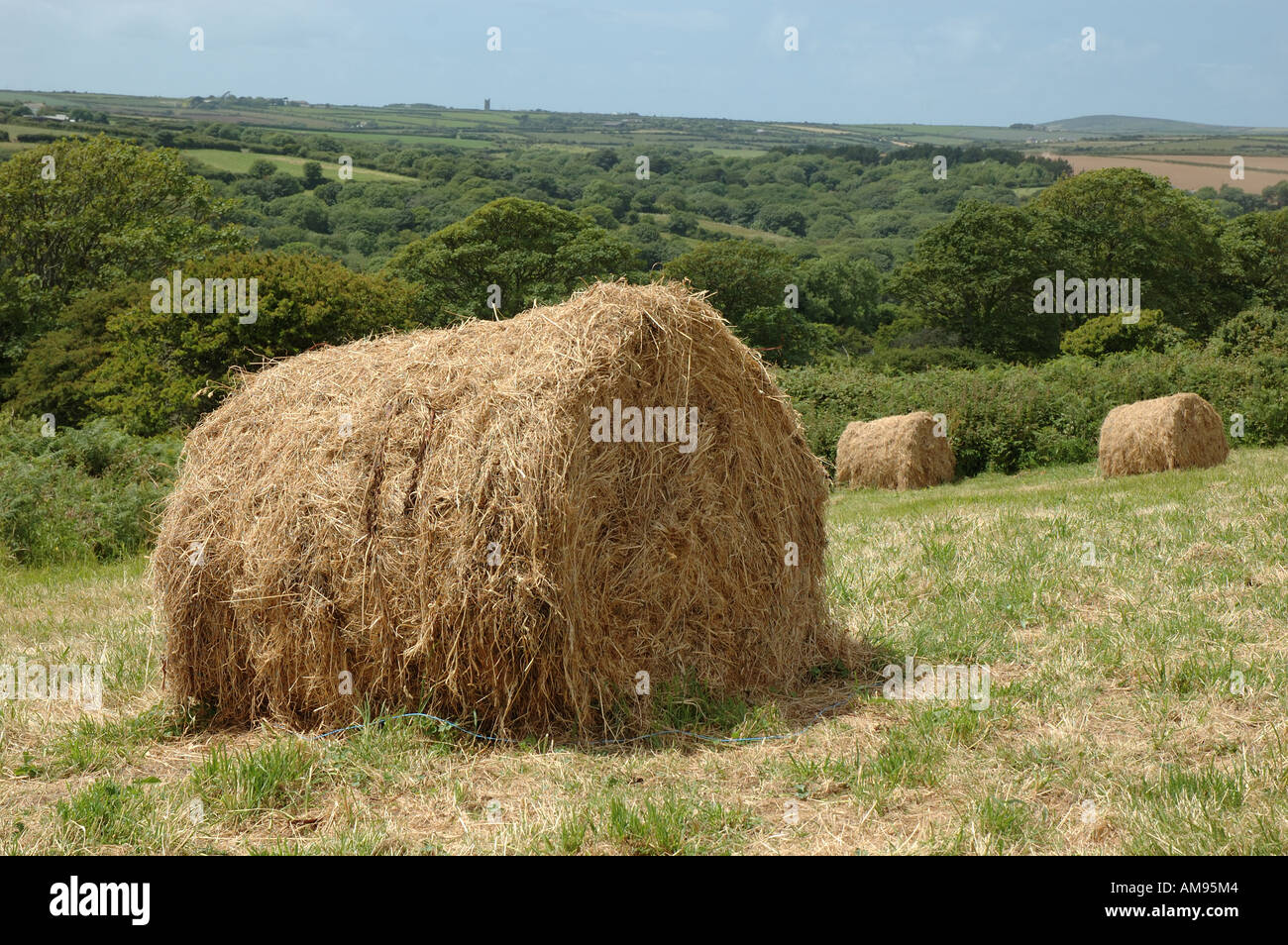 hay bales in a field, Cornwall, England, UK Stock Photo