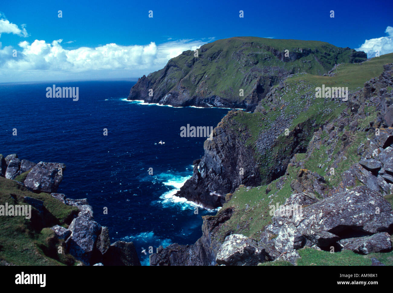 island of soay near st kilda western isles scotland uk gb europe Stock  Photo - Alamy