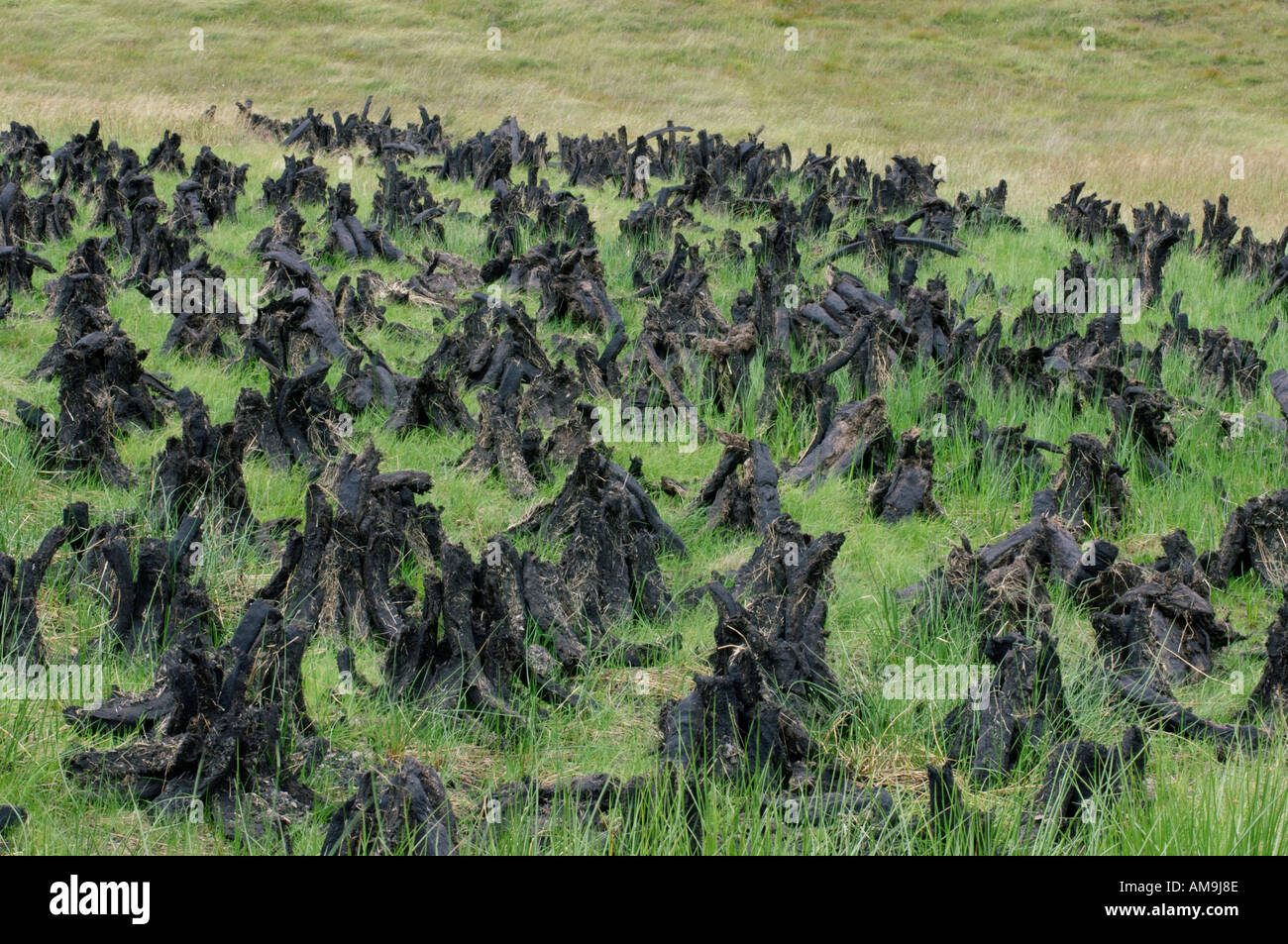 Peat turf hi-res stock photography and images - Alamy