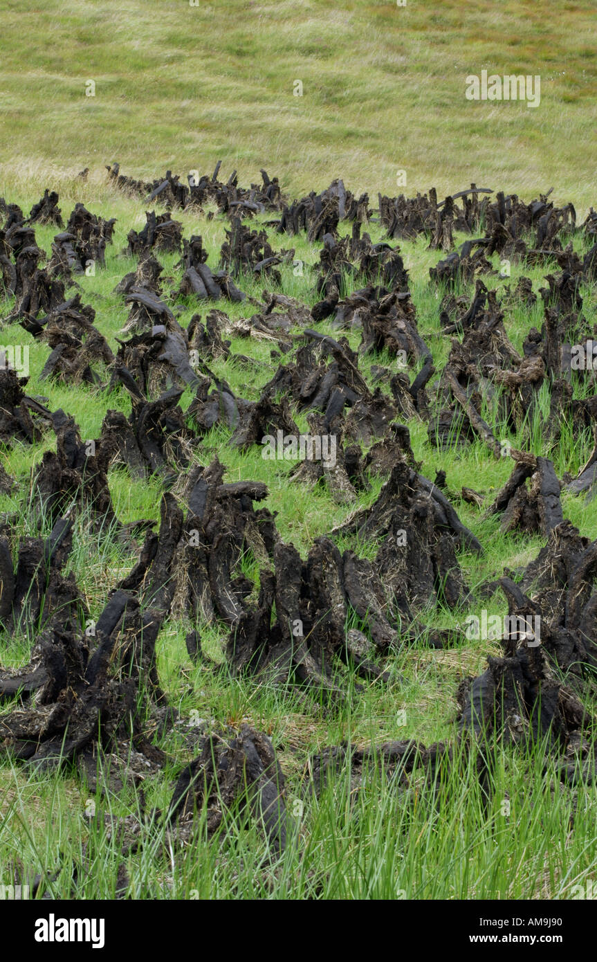 Irish peat turf cut and stacked to dry for domestic fire alternative