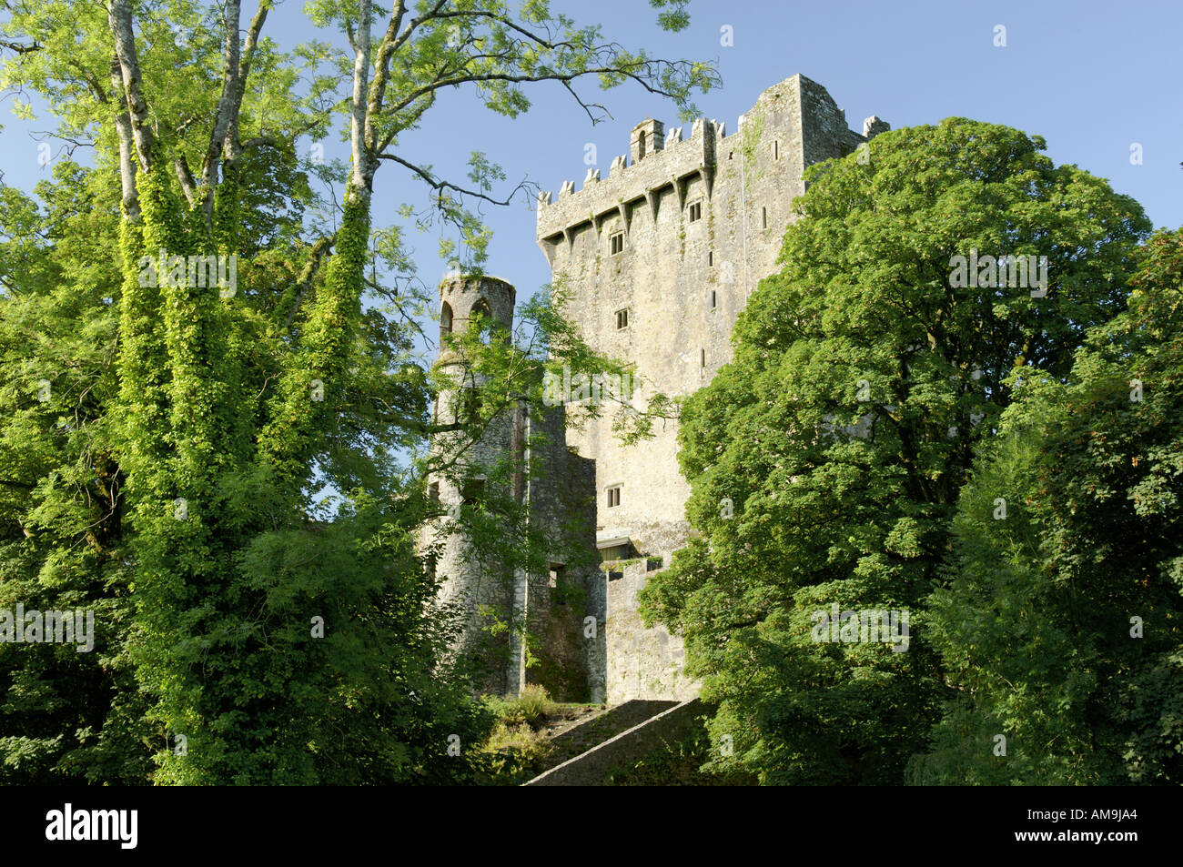 Blarney Castle, County Cork, Ireland Eire. The Blarney Stone sits in