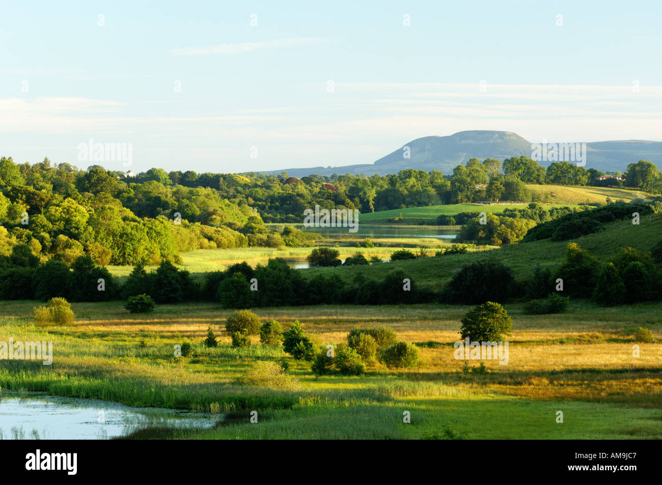 Lower Lough Erne County Fermanagh Northern Ireland Typical