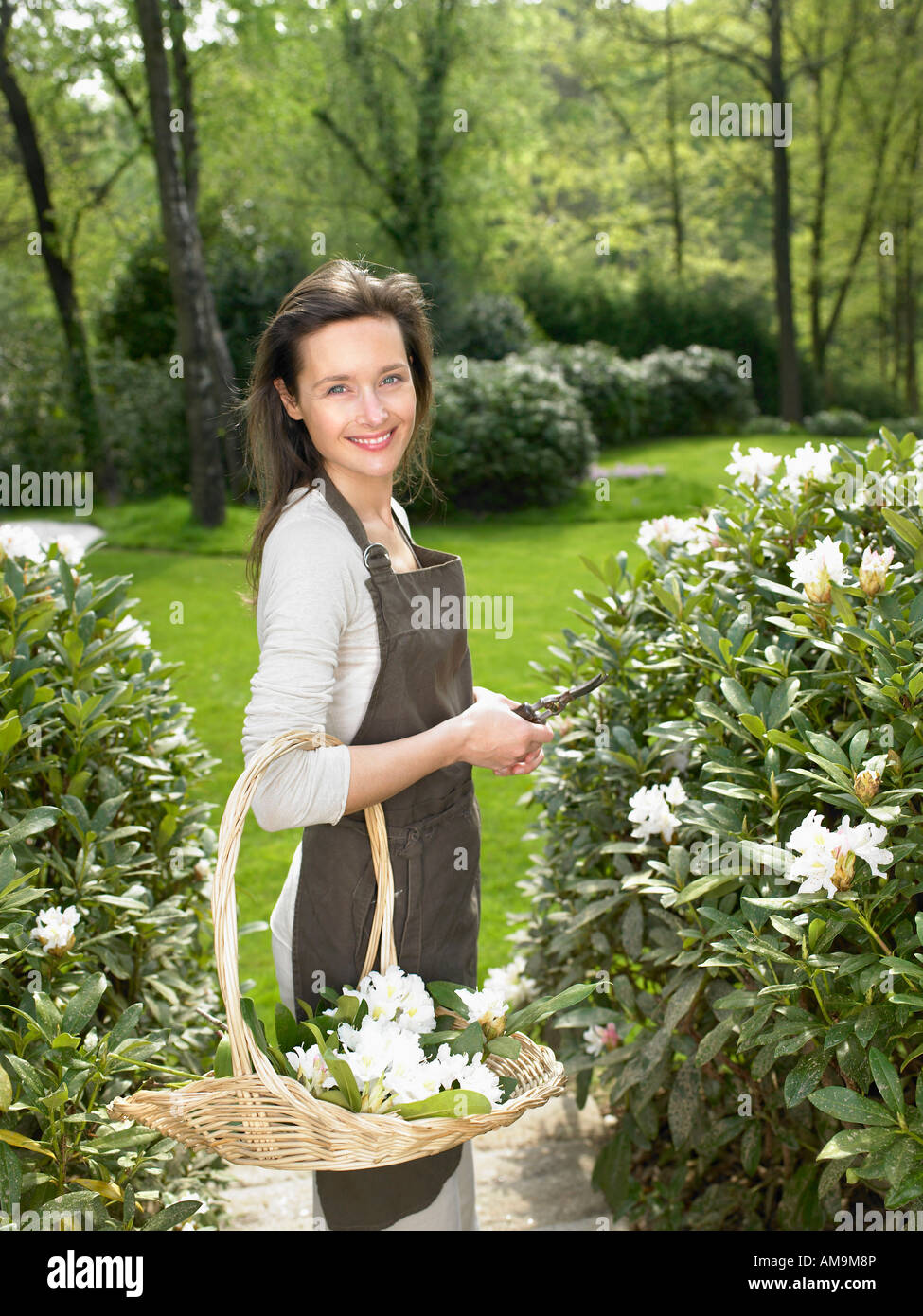 Woman garden basket flowers cutting hi-res stock photography and images ...