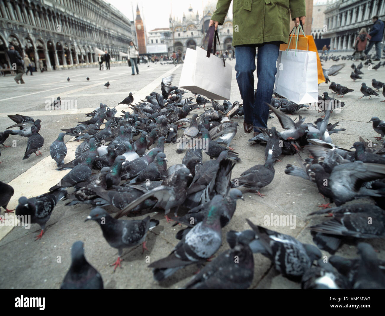 Woman with shopping bags walking through group of pigeons. Stock Photo