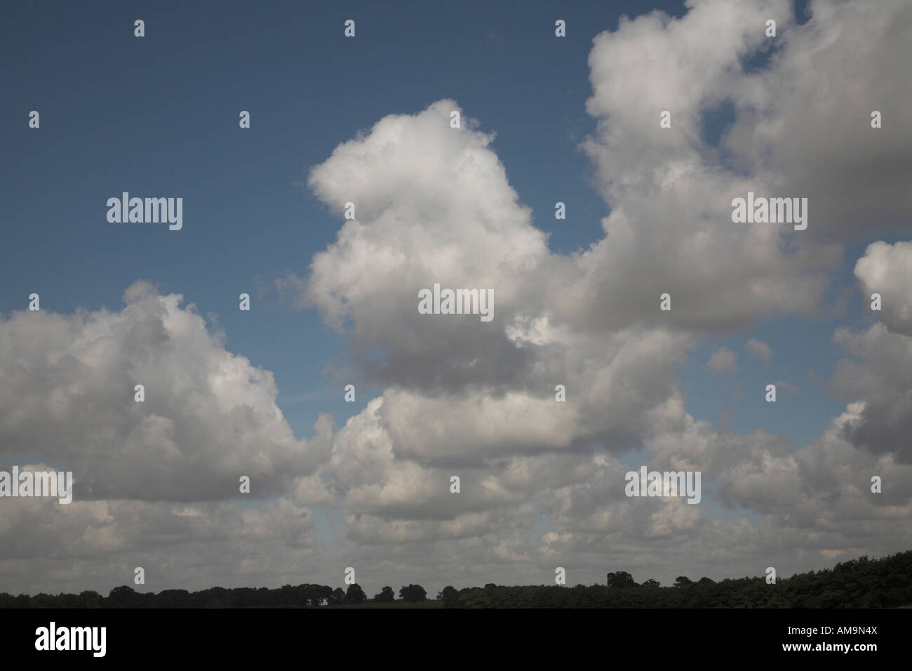 Fluffy white cumulus cloud blue sky Stock Photo - Alamy