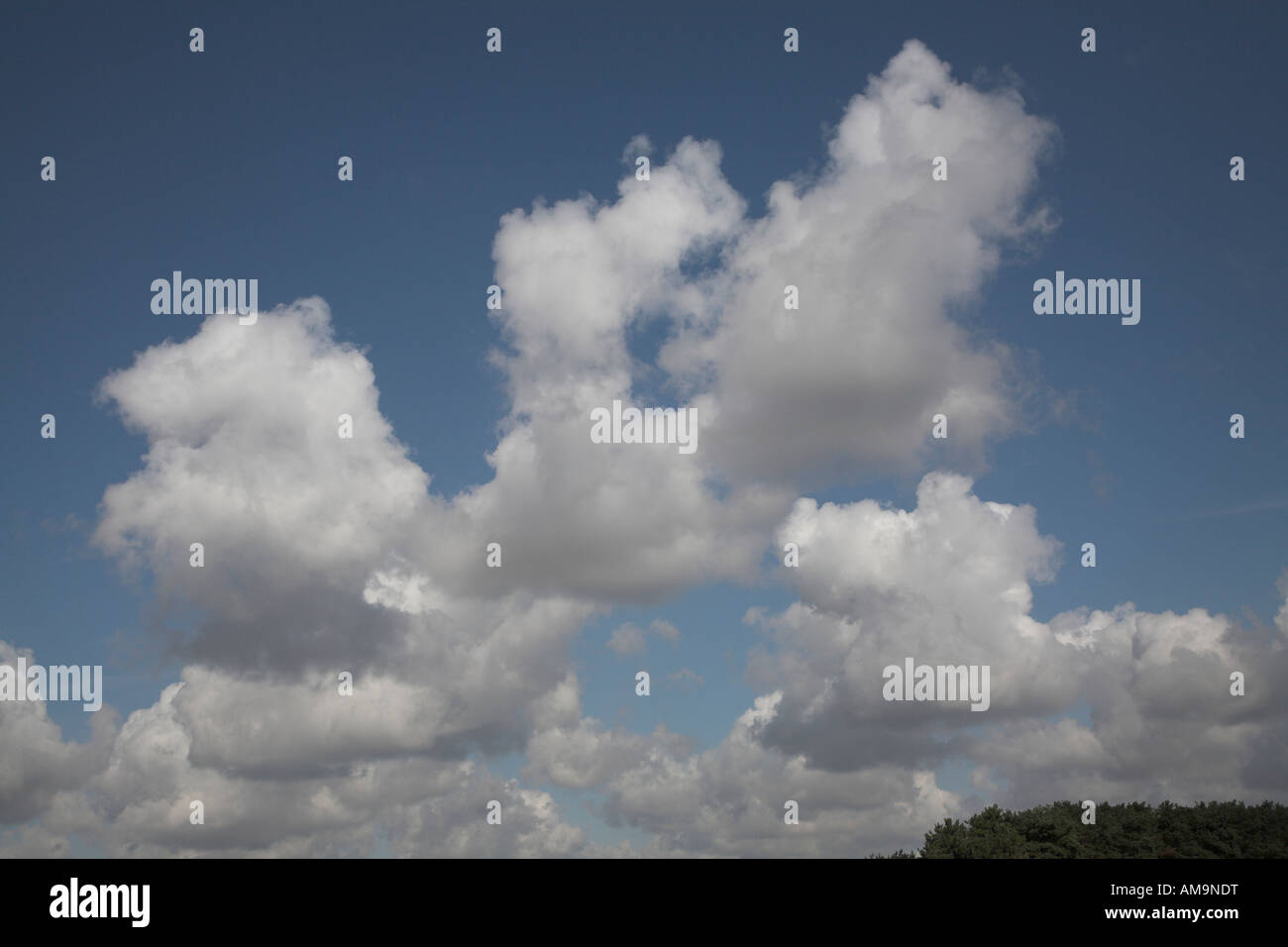 Fluffy white cumulus cloud blue sky Stock Photo - Alamy