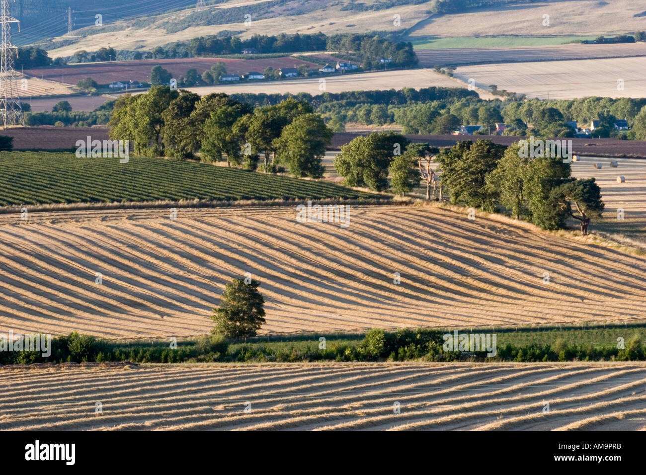 Agricultural Farm land in Cooper Angus Blairgowrie; Landscape showing crop marks and furrows after ploughing and harvesting Scotland,  UK Stock Photo