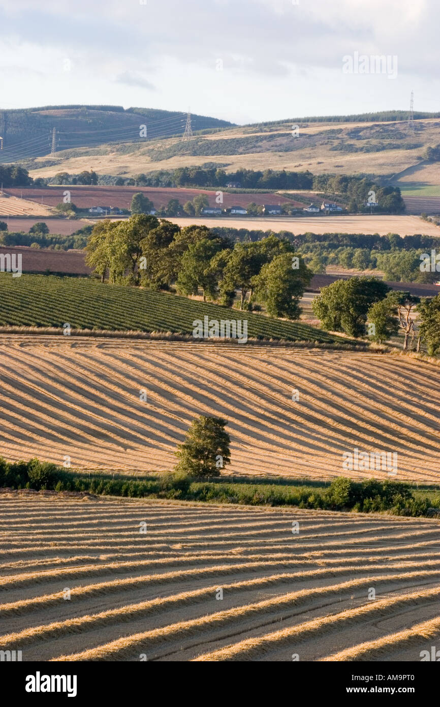 Agricultural Farm land in Cooper Angus Blairgowrie; Landscape showing field crop marks and furrows after ploughing and harvesting Scotland,  UK Stock Photo