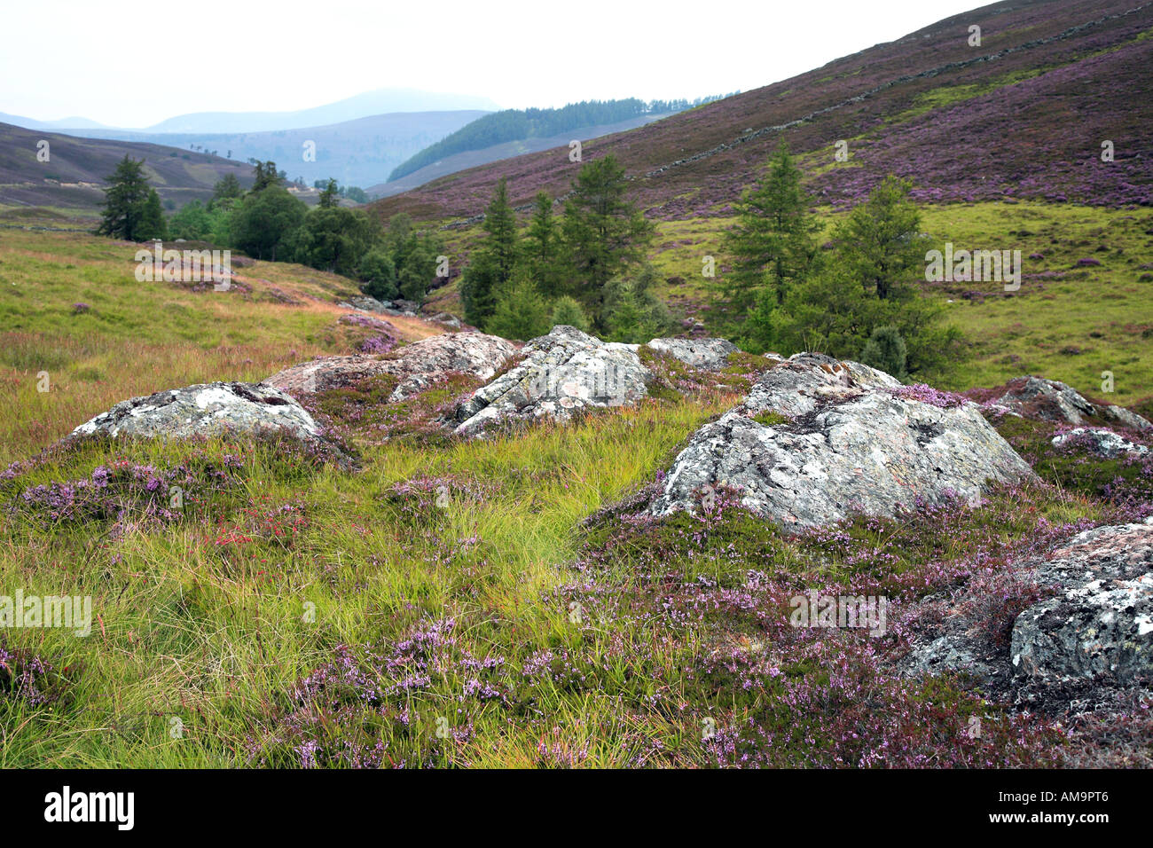 Glen Ey Mar Estate Inverey Braemar Cairngorm National Park Scotland uk Stock Photo Alamy