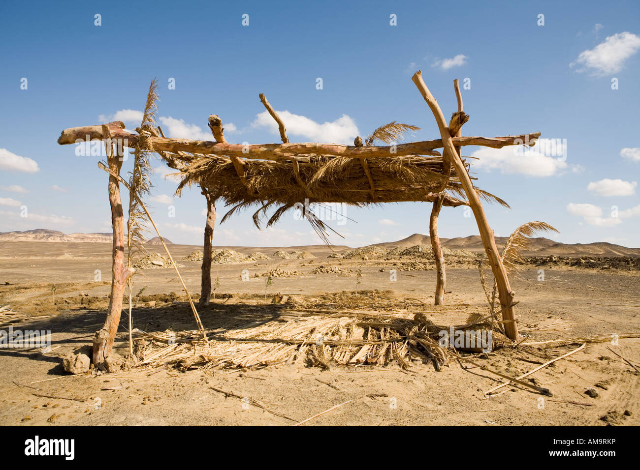 Dead palm fronds hires stock photography and images Alamy
