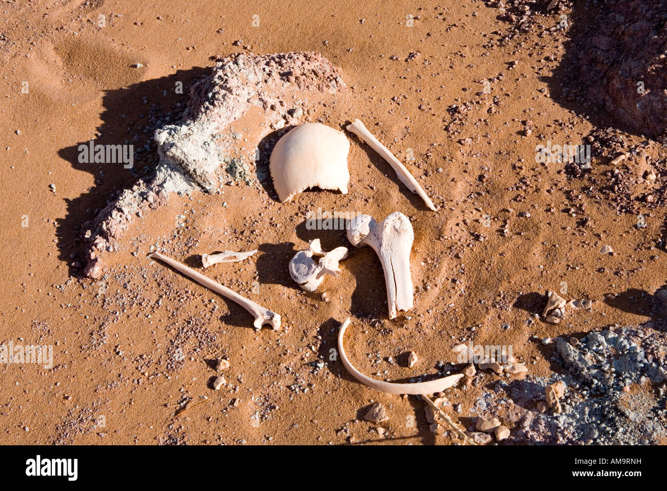 Human remains on ground surface at the  ancient cemetery of Ain Tirghi, Dakhla Oasis, Egypt, North Africa Stock Photo
