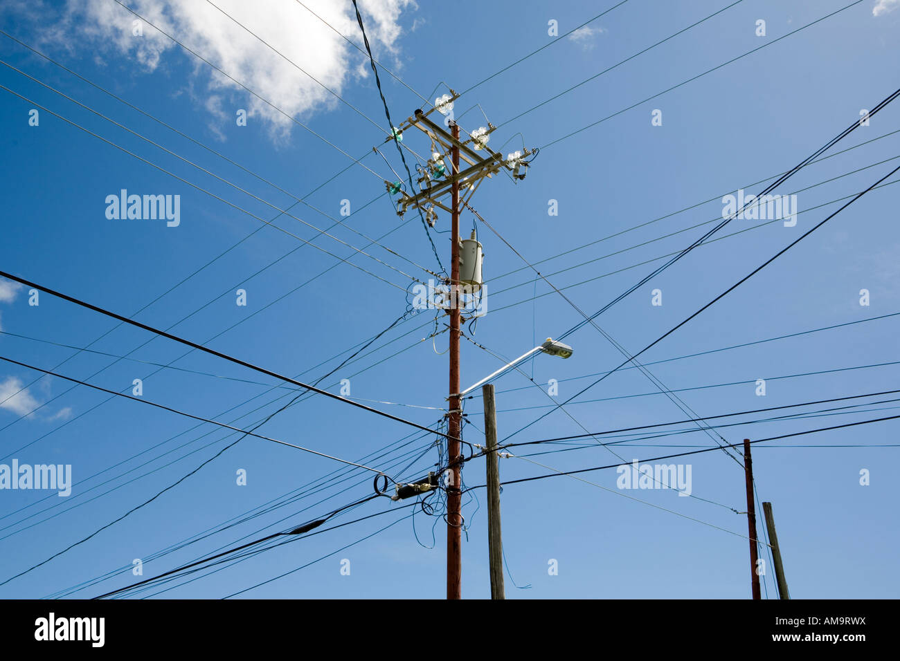 Overcrowded power lines against blue sunny skies, Tobago Island Caribbean. Stock Photo
