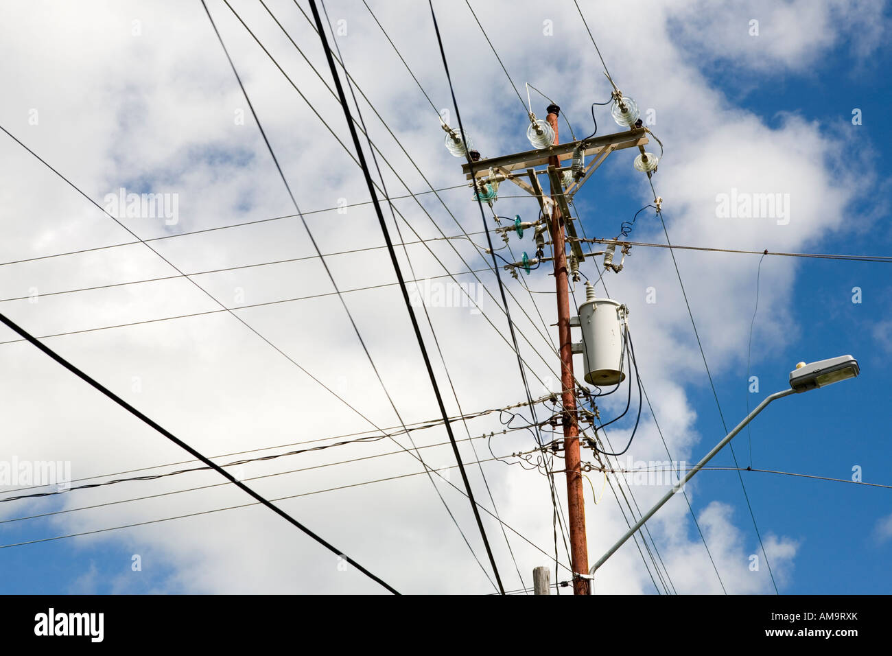 Overcrowded power lines against blue sunny skies, Tobago Island Caribbean. Stock Photo
