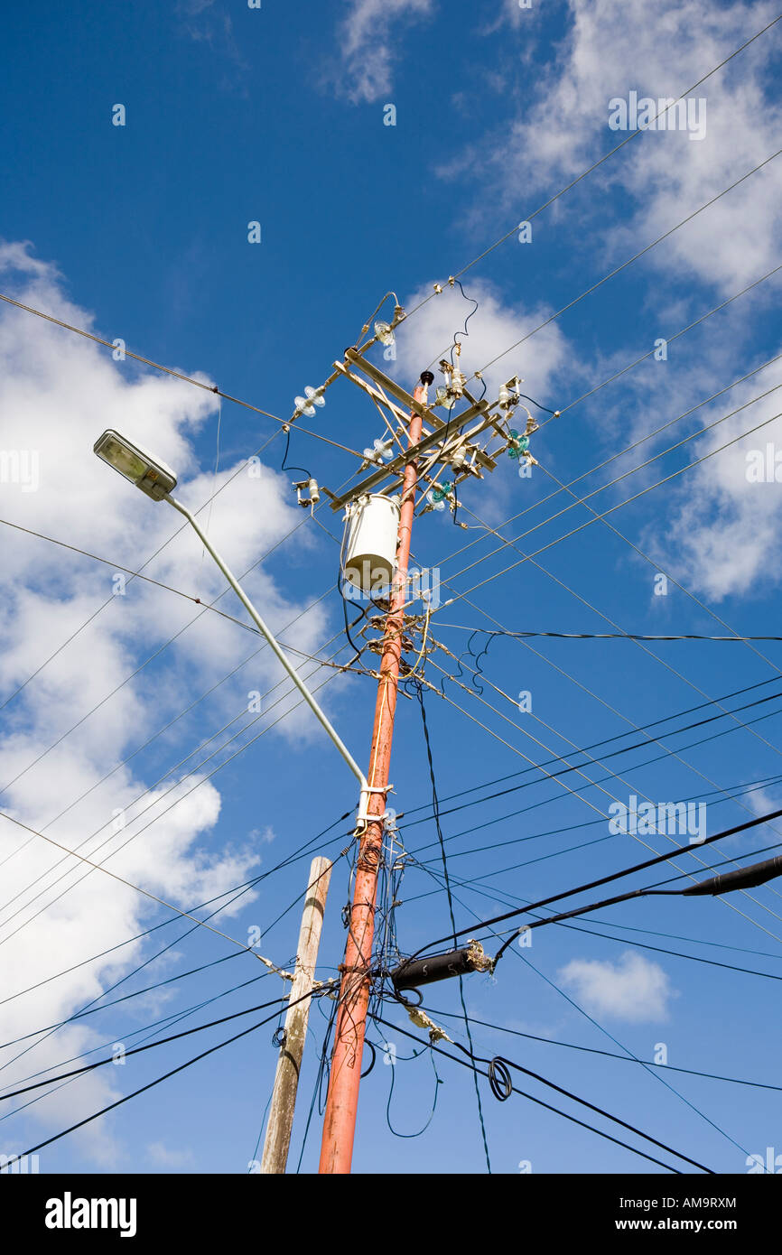 Overcrowded power lines against blue sunny skies, Tobago Island Caribbean. Stock Photo