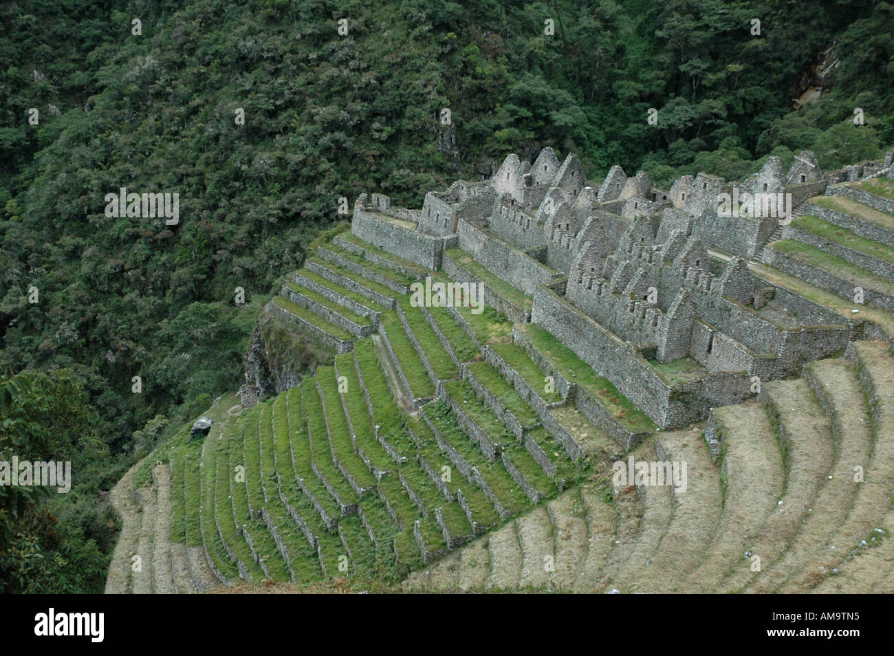 Winay Wayna Inca Site, Peru Stock Photo