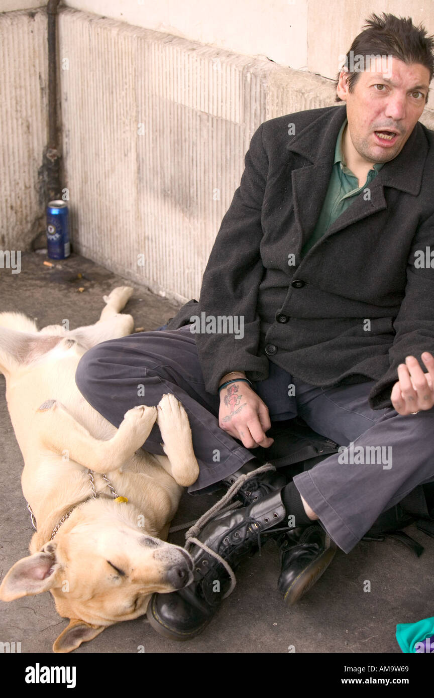 a homeless man with dog on the streets in Covent Garden London Stock Photo