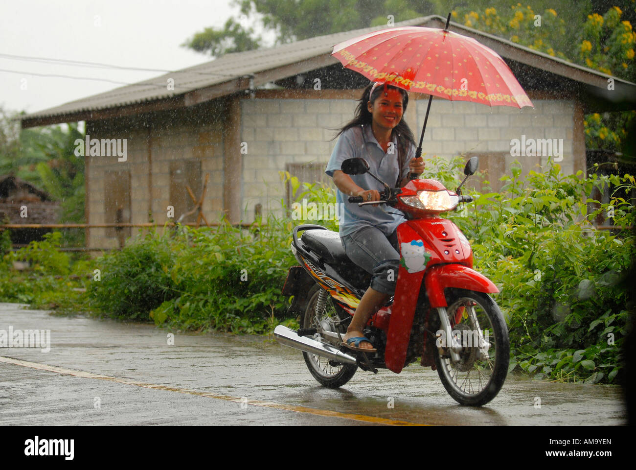 girl on a scooter in the rain, northern thailand Stock Photo - Alamy
