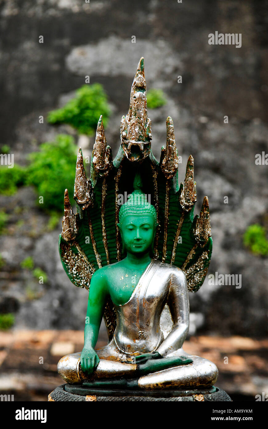buddha statue at a temple in chiang mai, thailand Stock Photo - Alamy