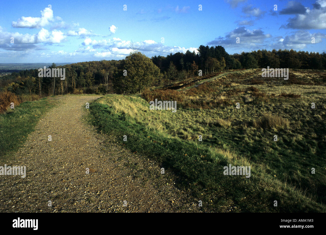 Castle Ring, Cannock Chase, Staffordshire, England, UK Stock Photo Alamy