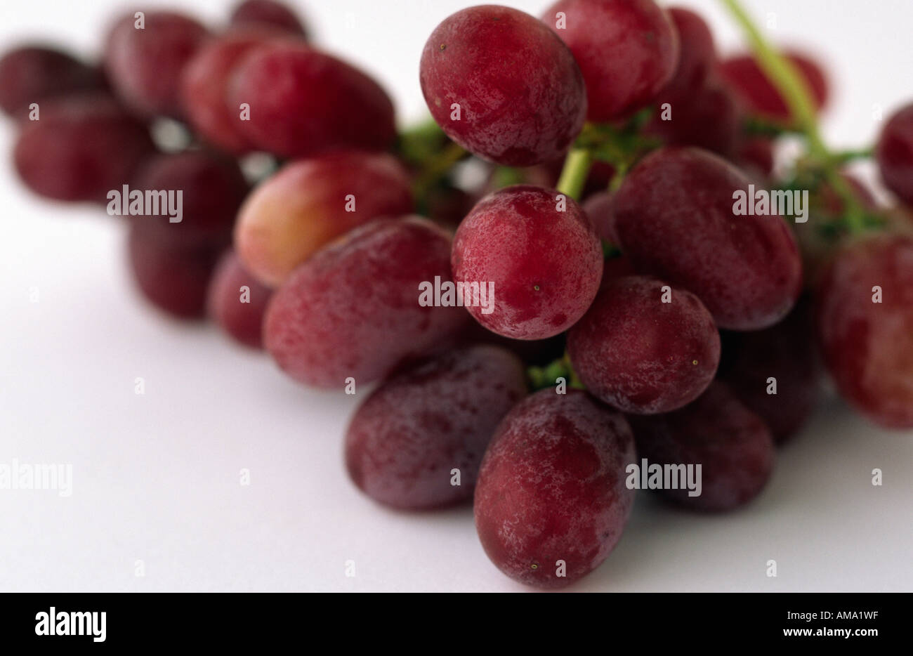 Red grapes Stock Photo